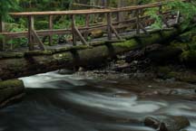 Appleton trail (photo by Sean Percy)